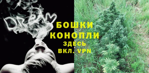гашик Покачи